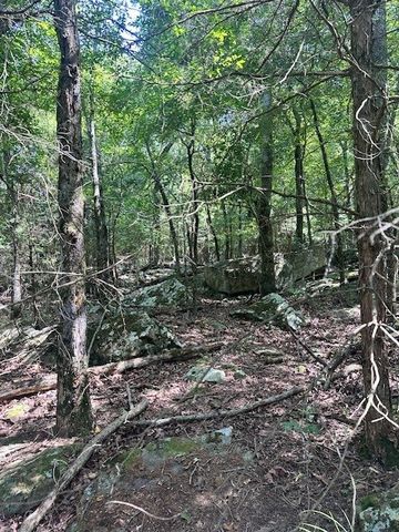 10397 S Mortensen Road, Lincoln, AR 72744