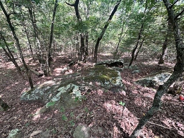 10397 S Mortensen Road, Lincoln, AR 72744