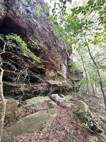 10397 S Mortensen Road, Lincoln, AR 72744