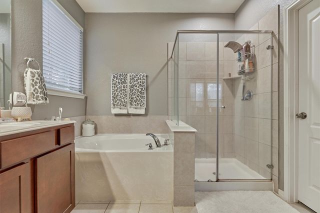 204 Forest Peak Way, Montgomery, TX 77316