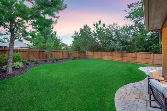 204 Forest Peak Way, Montgomery, TX 77316