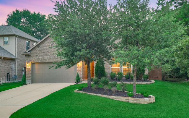 204 Forest Peak Way, Montgomery, TX 77316