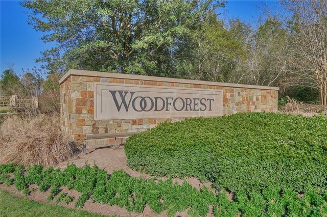204 Forest Peak Way, Montgomery, TX 77316