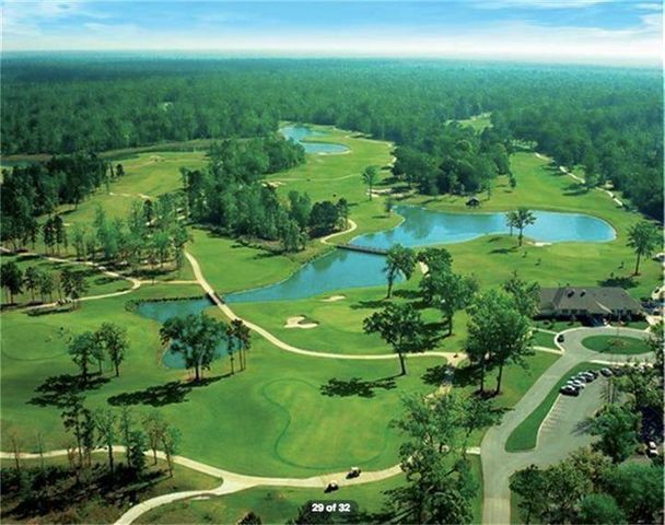 204 Forest Peak Way, Montgomery, TX 77316
