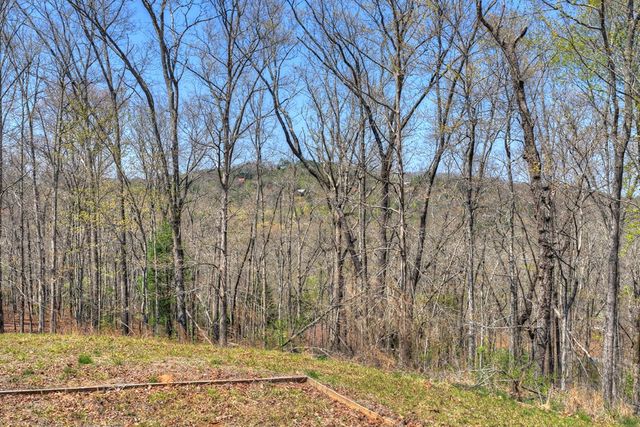 677 Barnes Chapel Road, Blue Ridge, GA 30513
