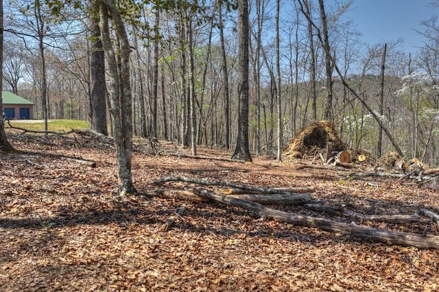 677 Barnes Chapel Road, Blue Ridge, GA 30513