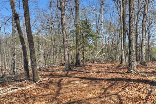 677 Barnes Chapel Road, Blue Ridge, GA 30513