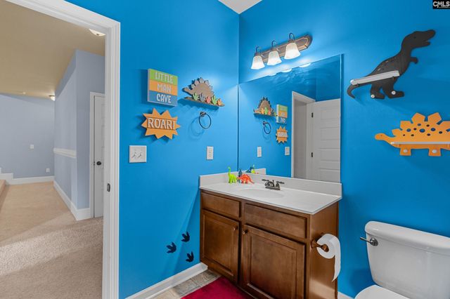 846 Village Well Court, Chapin, SC 29036