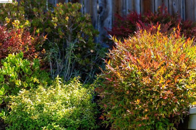 348 Jerome Ave, Piedmont, CA 94610