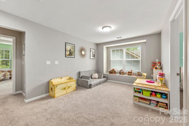 11719 Grey Partridge Drive, Charlotte, NC 28278