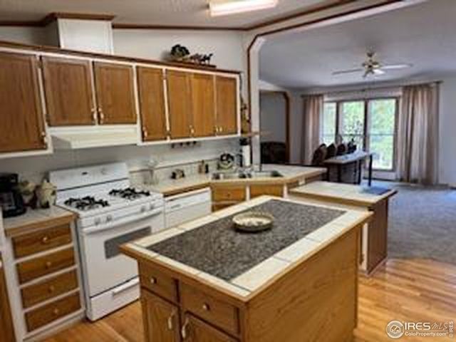 316 Panamint Way, Red Feather Lakes, CO 80545