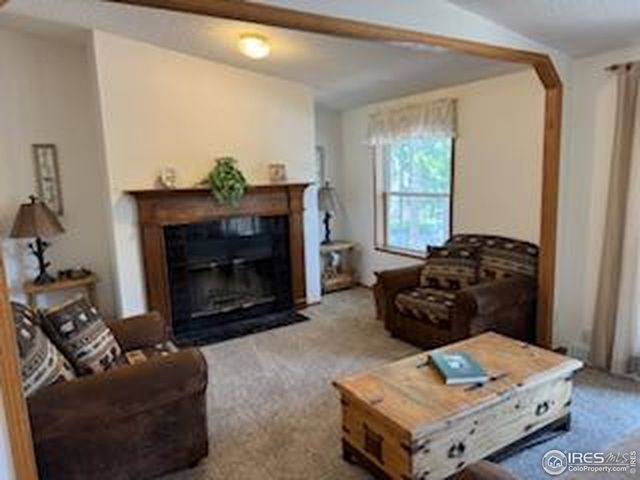 316 Panamint Way, Red Feather Lakes, CO 80545