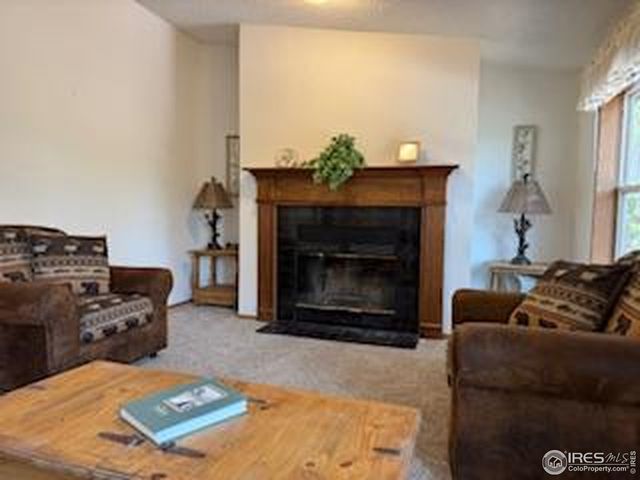 316 Panamint Way, Red Feather Lakes, CO 80545