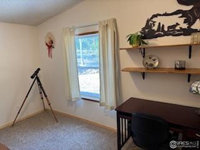 316 Panamint Way, Red Feather Lakes, CO 80545