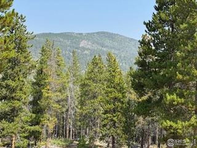 316 Panamint Way, Red Feather Lakes, CO 80545