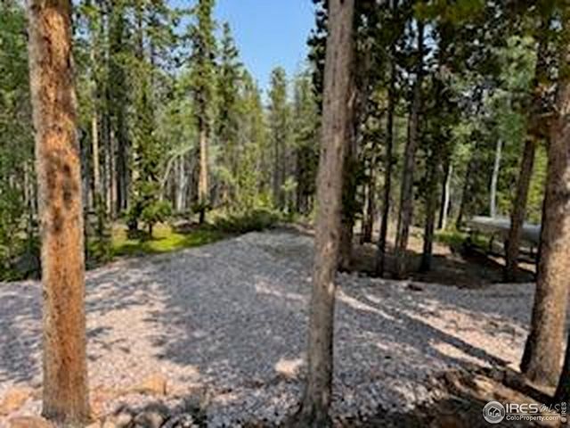 316 Panamint Way, Red Feather Lakes, CO 80545