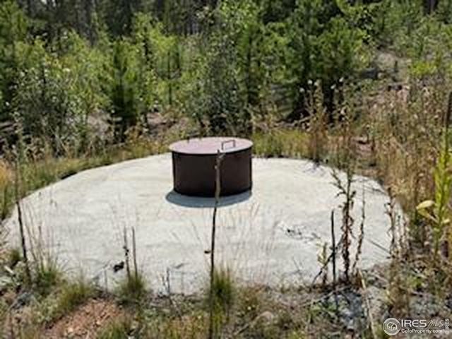 316 Panamint Way, Red Feather Lakes, CO 80545