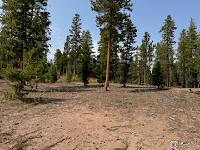 316 Panamint Way, Red Feather Lakes, CO 80545