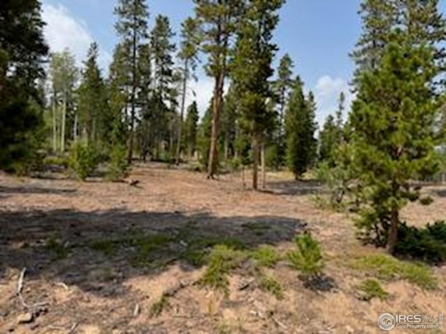 316 Panamint Way, Red Feather Lakes, CO 80545