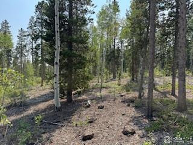 316 Panamint Way, Red Feather Lakes, CO 80545