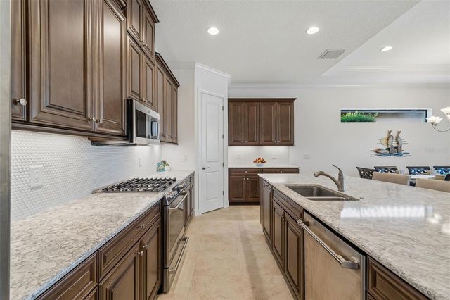 11749 BITOLA DRIVE, Odessa, FL 33556
