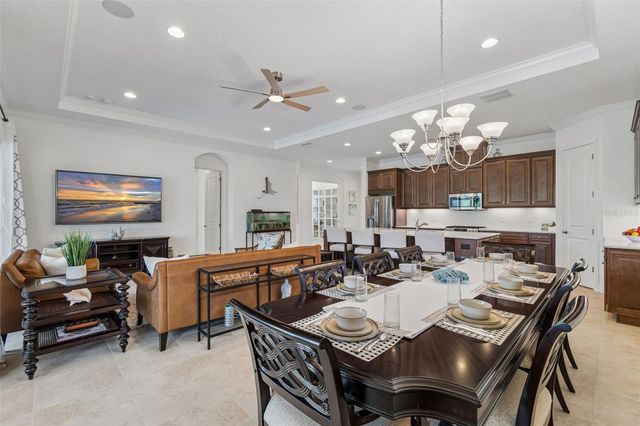 11749 BITOLA DRIVE, Odessa, FL 33556