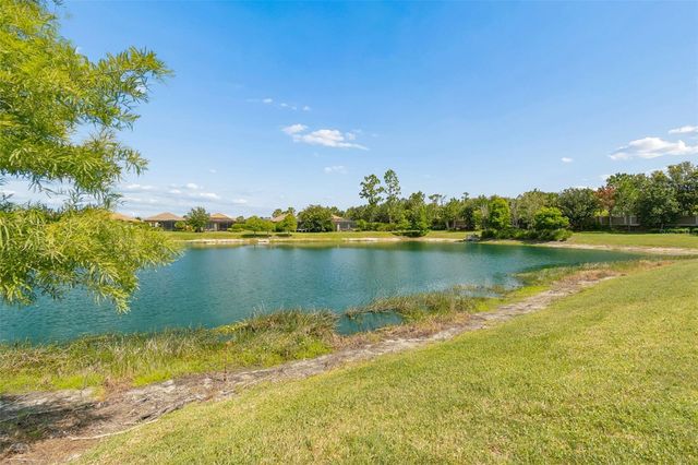 11749 BITOLA DRIVE, Odessa, FL 33556