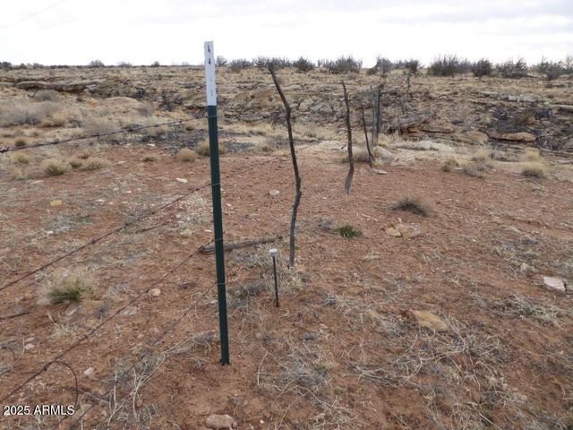 Lot 301 Chevelon Canyon Ranch -- 301, Heber, AZ 85928