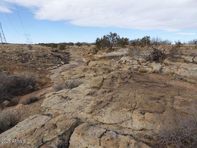 Lot 301 Chevelon Canyon Ranch -- 301, Heber, AZ 85928