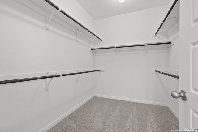 409 Foxtail Canyon, Cibolo, TX 78108