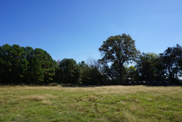 cr4301 Plainview Road, Naples, TX 75571