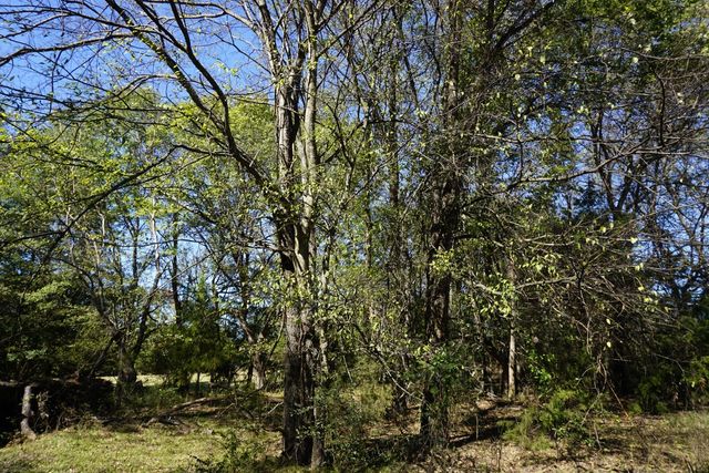 cr4301 Plainview Road, Naples, TX 75571