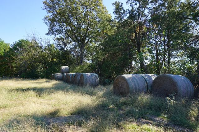 cr4301 Plainview Road, Naples, TX 75571