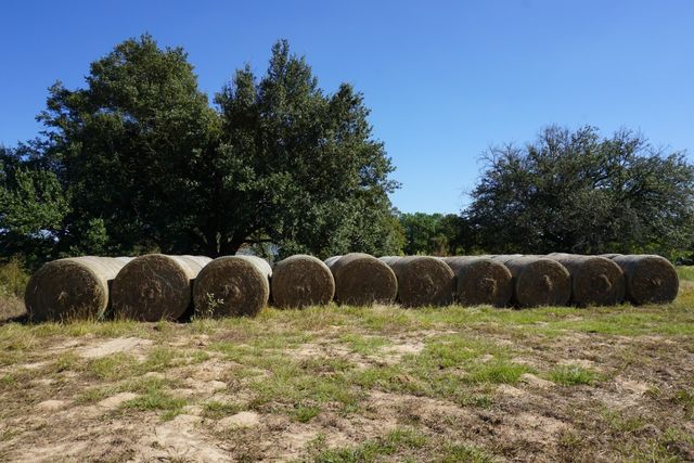 cr4301 Plainview Road, Naples, TX 75571