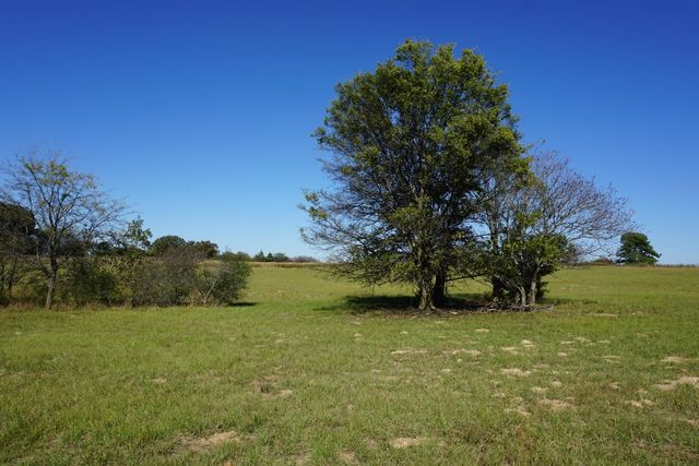 cr4301 Plainview Road, Naples, TX 75571