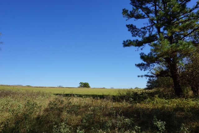 cr4301 Plainview Road, Naples, TX 75571