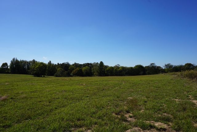 cr4301 Plainview Road, Naples, TX 75571