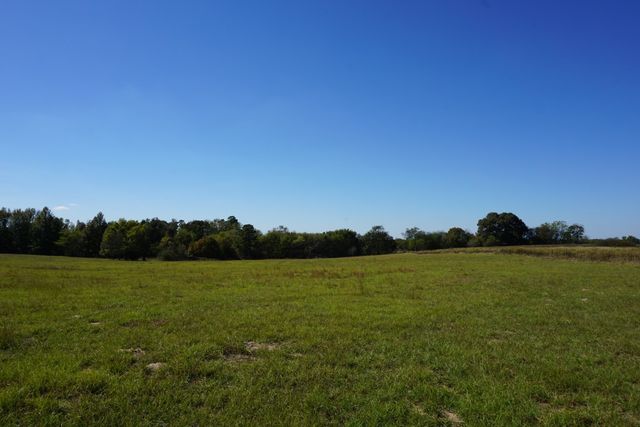 cr4301 Plainview Road, Naples, TX 75571