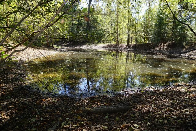 cr4301 Plainview Road, Naples, TX 75571