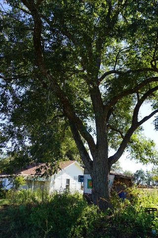 cr4301 Plainview Road, Naples, TX 75571
