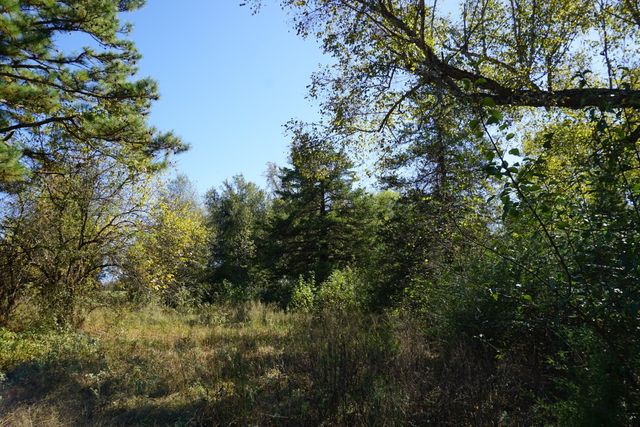 cr4301 Plainview Road, Naples, TX 75571