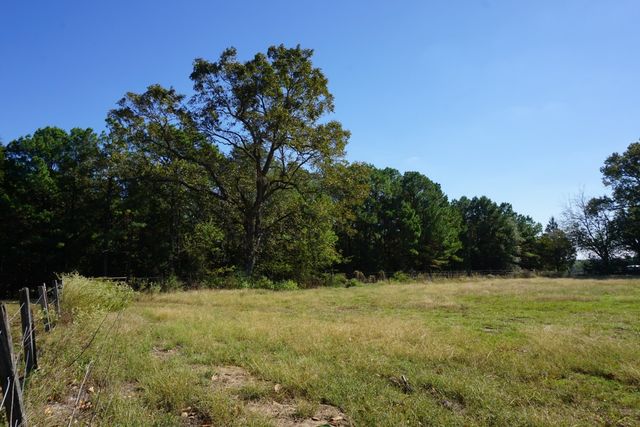 cr4301 Plainview Road, Naples, TX 75571