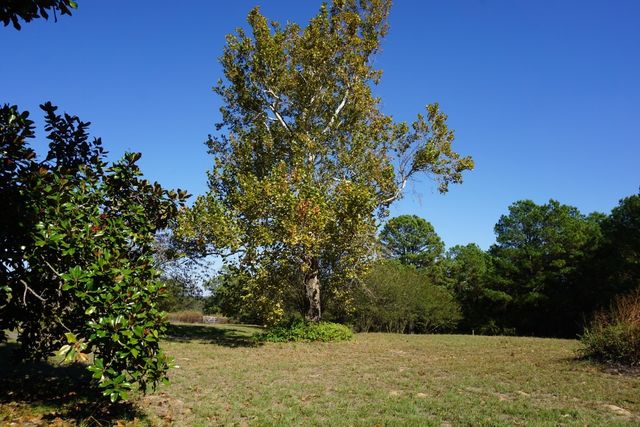 cr4301 Plainview Road, Naples, TX 75571