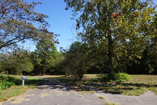 cr4301 Plainview Road, Naples, TX 75571