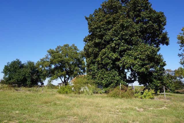 cr4301 Plainview Road, Naples, TX 75571