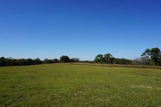 cr4301 Plainview Road, Naples, TX 75571