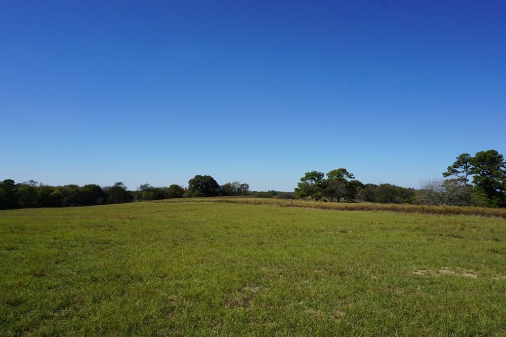cr4301 Plainview Road, Naples, TX 75571