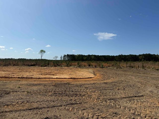 1507 Patty Rd, Cades, SC 29518