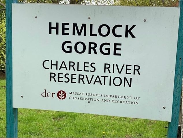 366 Elliot St 9, Newton, MA 02464