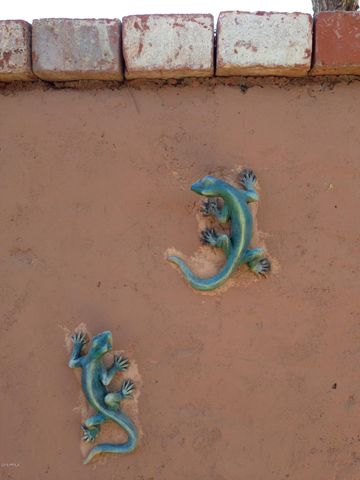 14818 N 38TH Street, Phoenix, AZ 85032